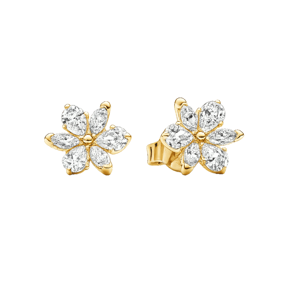 Aretes de Oro